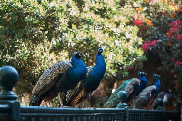 Hotel Majoro image 26